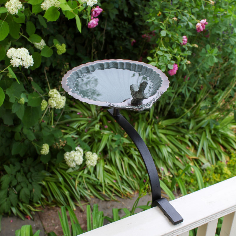 Verdigris Brass Scallop Shell Birdbath with Iron Rail Mount
