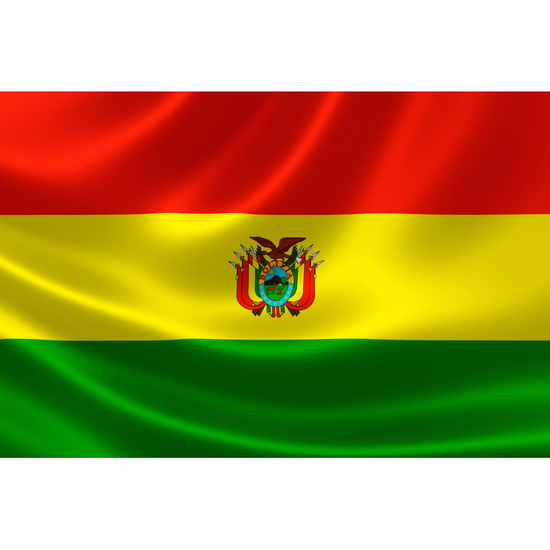 Bolivia's National Flag by Ronniechua - Wrapped Canvas Print, 30cm H x 46cm W x 3.8cm D