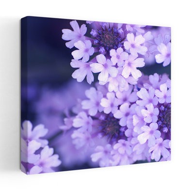 Fleurs mauves, art floral contemporain