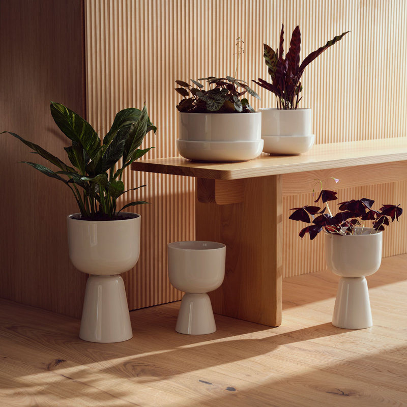 Juba Handmade Ceramic Pot Planter, White