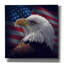 «American Bald Eagle» par Collin Bogle, art mural sur toile-554852630