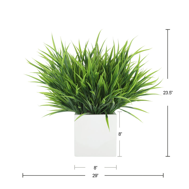 Grass Arranged in Square Planter