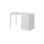 Alfaretta Metal Base Computer Desk-185102517