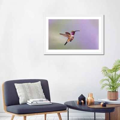 Lucifer colibri mâle planant par Larry Ditto - impression d'art graphique