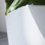 Pot à fleurs rond avec plateau Nova l 12 po-671843974-777671177-777671179