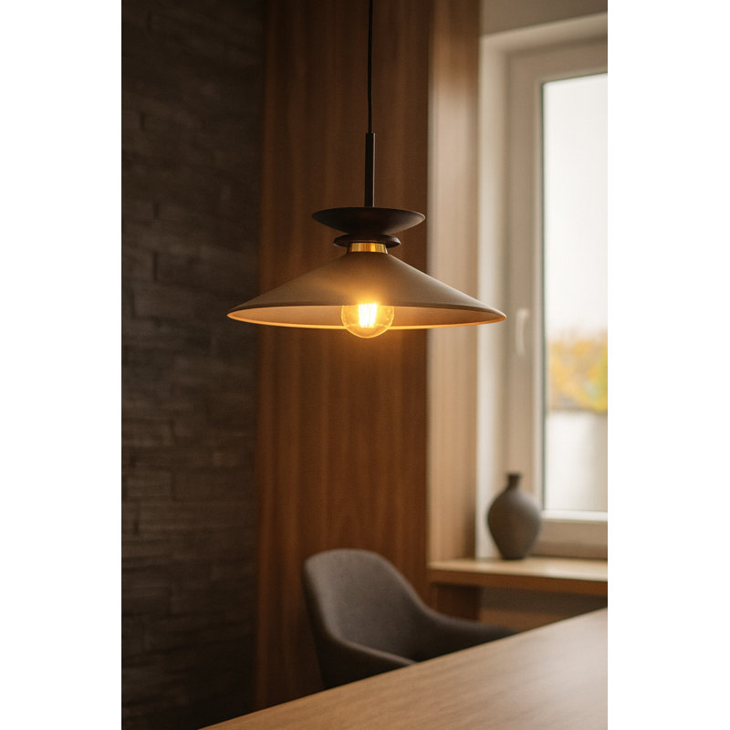 1 - Light Matte Black Pendant