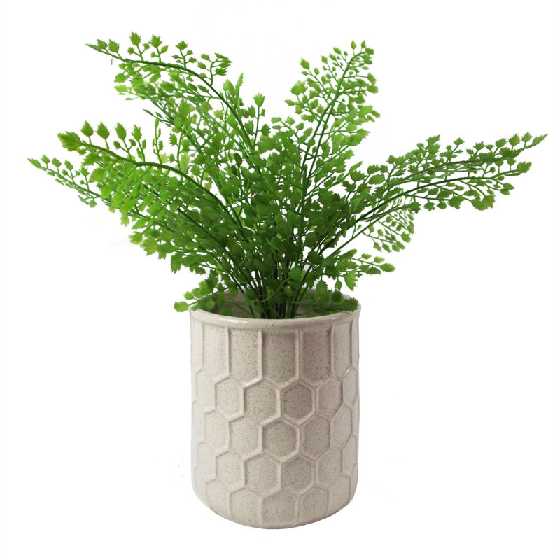 Ceramic Cachepot