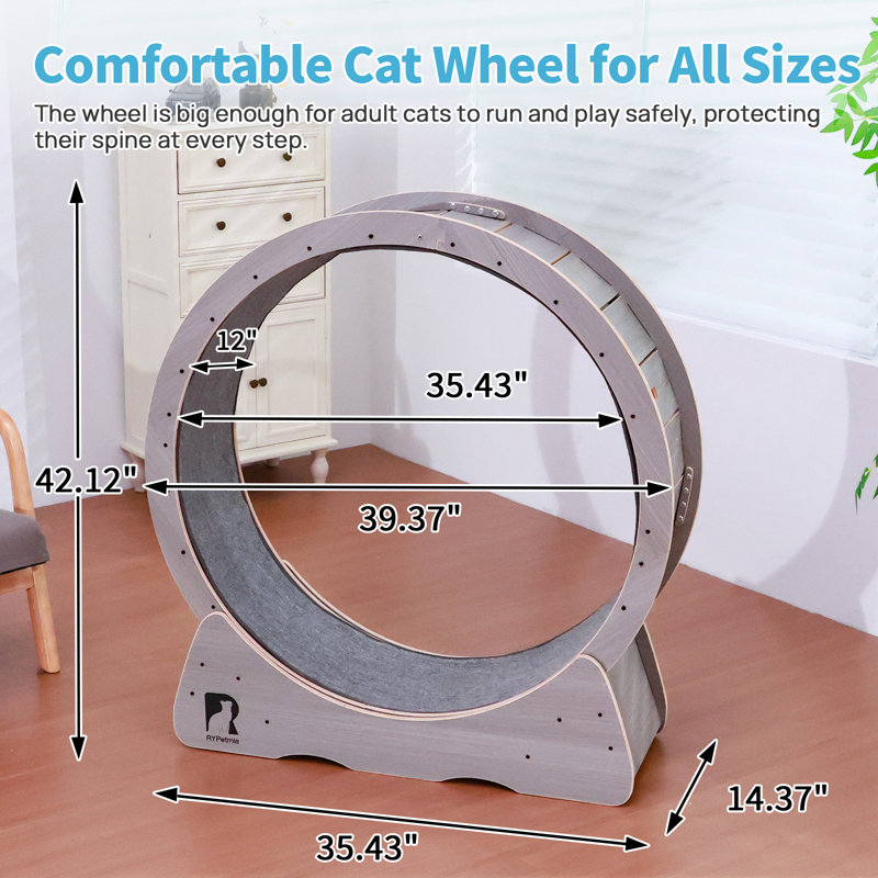 Roue de 39 po pour grand chat, Gris