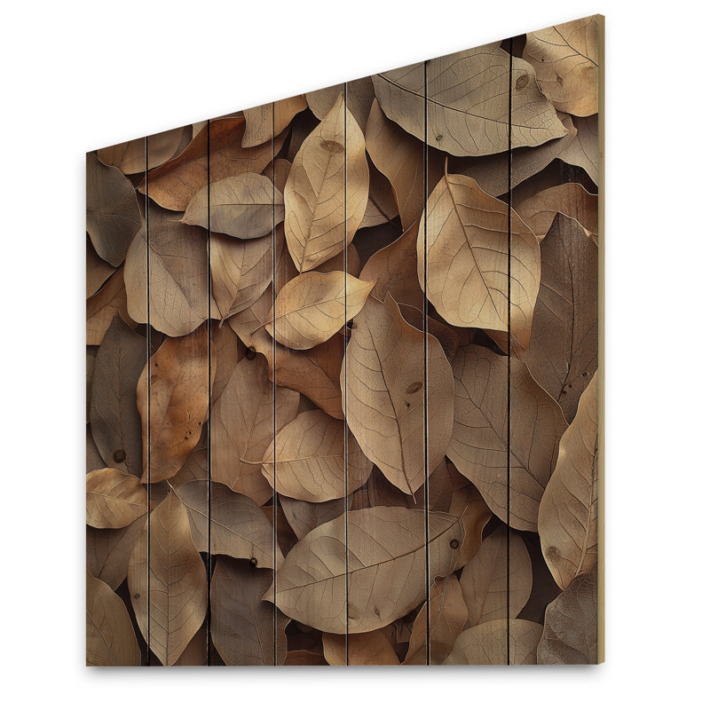 «Brown Sable Leaves III», art mural sur bois de feuilles - sur bois de pin naturel, H 30 po x l 30 po x P 0,78 po