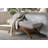 Anup Railee Bench-66029780