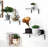 3 Piece Floating Shelf