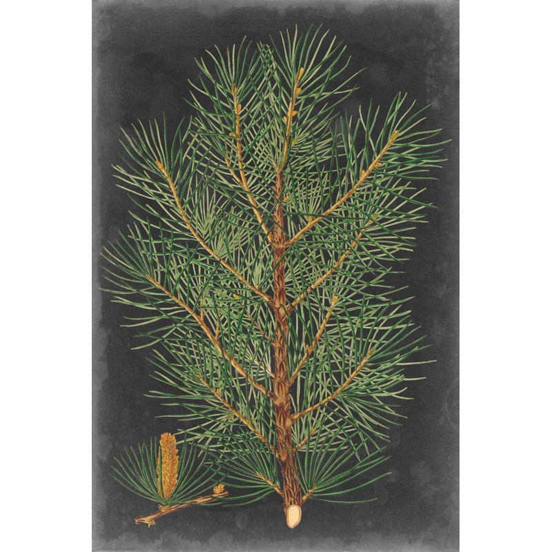 «Dramatic Pine II», peinture sur toile, H 36 po x l 24 po, Non, Toile avec cadre noyer