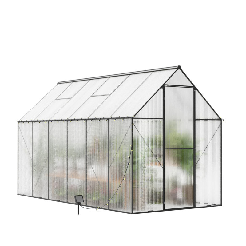 Serre en acier 6 x 12 pour le jardin, la cour arrière avec ventilation réglable et ensembles de portes à charnières verrouillables