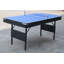 Tennis de table, tennis de table