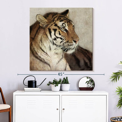 Tigre de Brampt