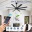 Grands ventilateurs de plafond de 66 po avec télécommande APP, ventilateur de plafond intérieur noir pour patio, 8 pales à intensité variable réversible, moteur à courant continu silencieux 6 vitesses-1646219275-1646219274-1646219276