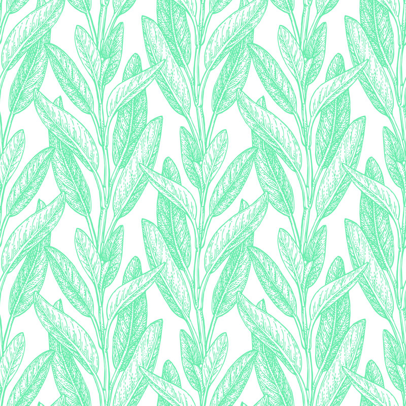 Seamless Pattern With Sage. - Wrapped Canvas Print, 30cm H x 30cm W x 3.8cm D