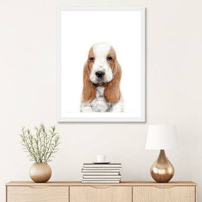 " Basset Hound Puppy "