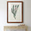 Protea N33 - Peinture encadrée-1258477351-1258477350