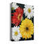 Gerbera - impression sur toile tendue-982584595