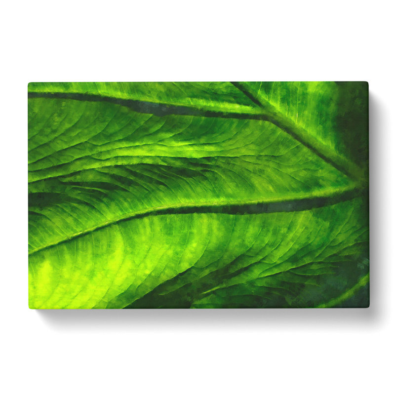 Veins Of A Green Leaf - Wrapped Canvas, 35cm H x 50cm W x 3cm D