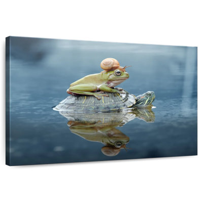 Escargot et grenouille Brampt chevauchant une tortue