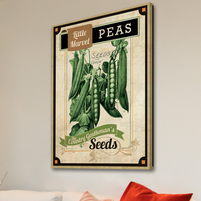 Seed Packet Peas - Wrapped Canvas Print, 46 cm H x 30 cm W
