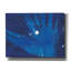 «Indigo Burst I» par Regina Moore-2057775382