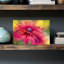 Vibrant Magenta Bloom Colorful Vibrant Flower Nature Wall Art Print 1 Piece Wrapped Canvas Wall Art-1884365927