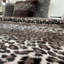 Lepo-Collection-couverture-57983950