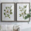 «Magnolia Morning I», reproduction encadrée de qualité supérieure - prête à être accrochée-152898346-152898350