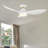 45 "  Dyonne Ceiling Fan with Light-90847207