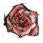 Aquarelle rose - fleurs romantiques encadrées