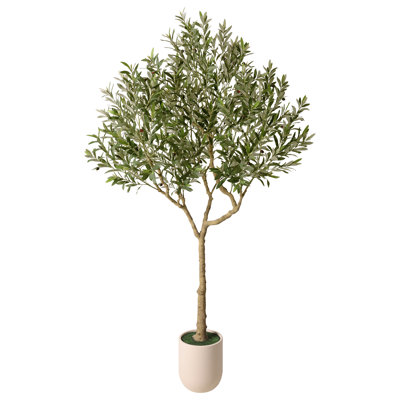Ashwell Faux Olive Tree