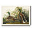 « Pl 221 Mallard Duck », reproduction d’art sur toile tendue-1460456790