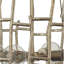 Light Steel Sea Coral Korhonen Chandelier-979542139-952192766