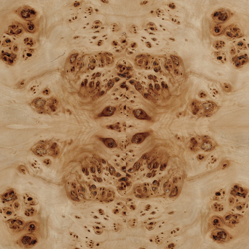 Archer 1 Drawer Burl Side Table, Natural 
