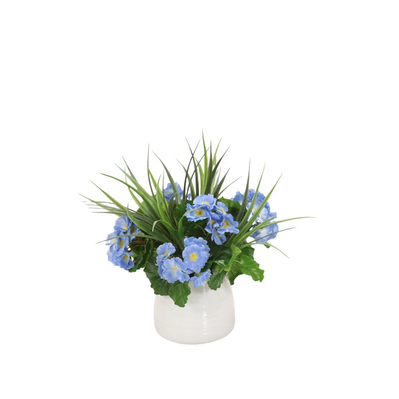 Arrangements floraux mixtes en pot