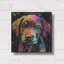  «Woof Labrador Retriever» par Rich Monet, art mural en métal, 12 po x 12 po-1070111914
