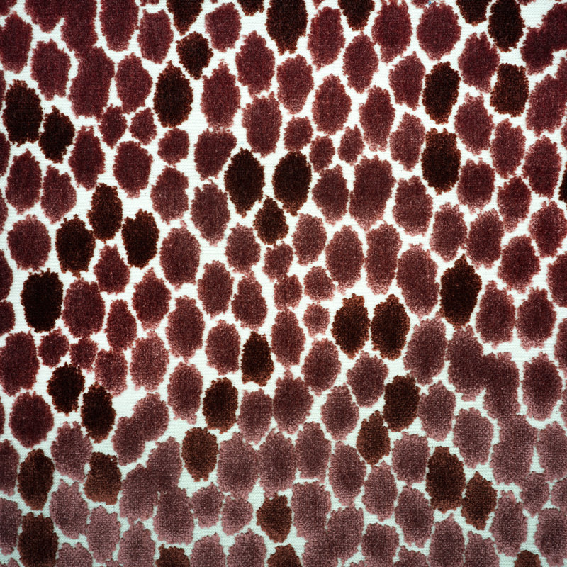 Jasmine Fabric, Jewel
