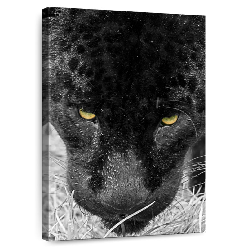 Brampt Black Panther Face, 12" H x 8" W