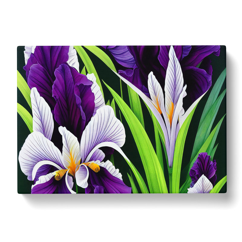 Modern Iris Flowers Vol.1 - Wrapped Canvas, 40cm H x 60cm W x 3cm D
