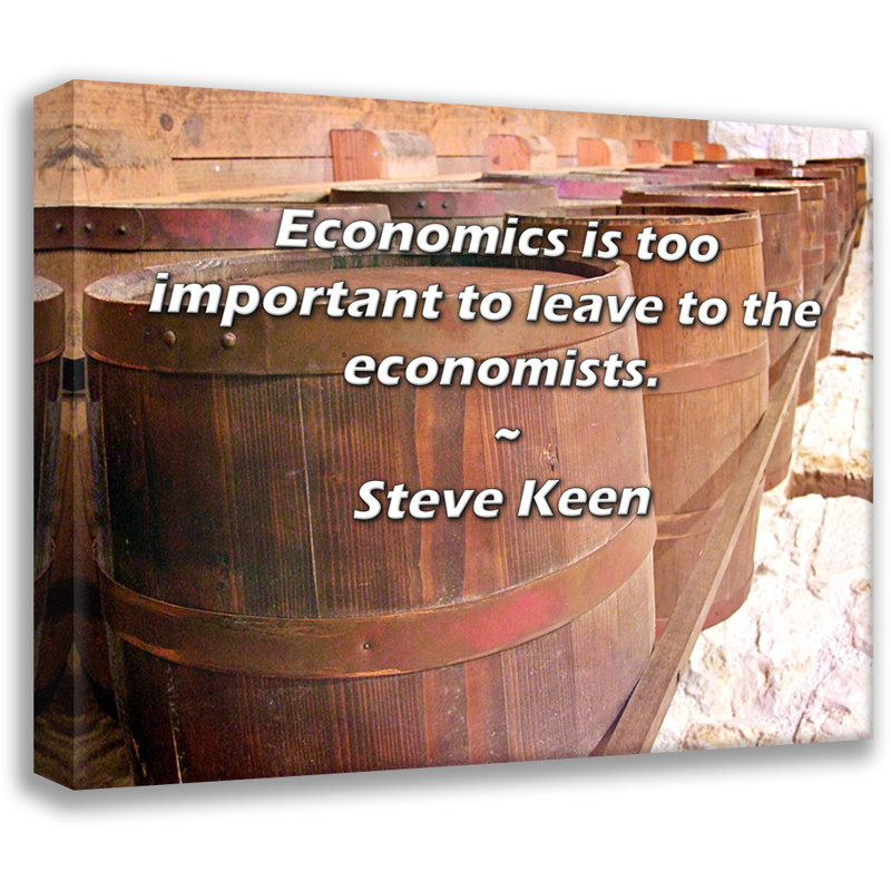Toile tendue avec toile Trinx par Steve Keen: «L'économie est trop importante pour être laissée à l'econo