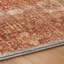 Tapis à poil long de qualité supérieure lavable à la machine ADS637-1023949506-1023949511