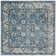 Jase Charleston Performance Oriental Rug