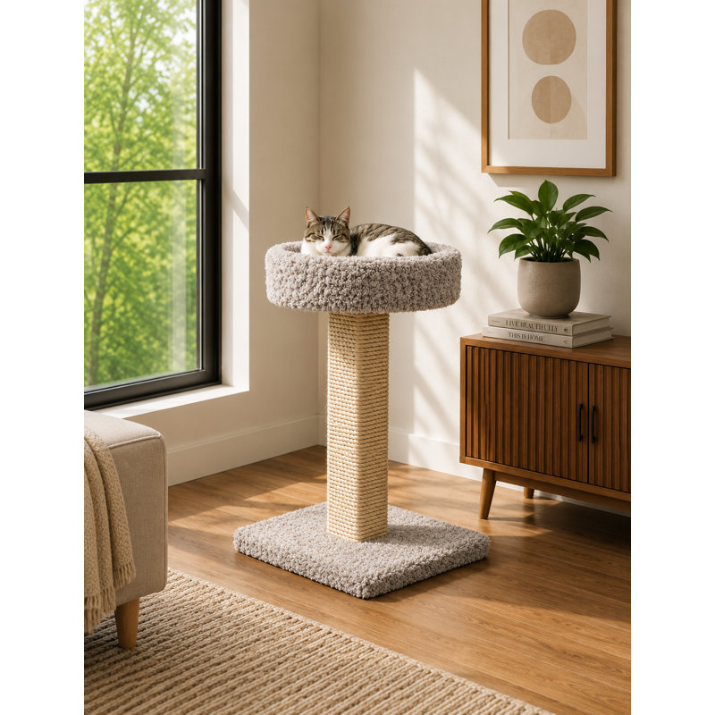 Grattoir New Cat Condos