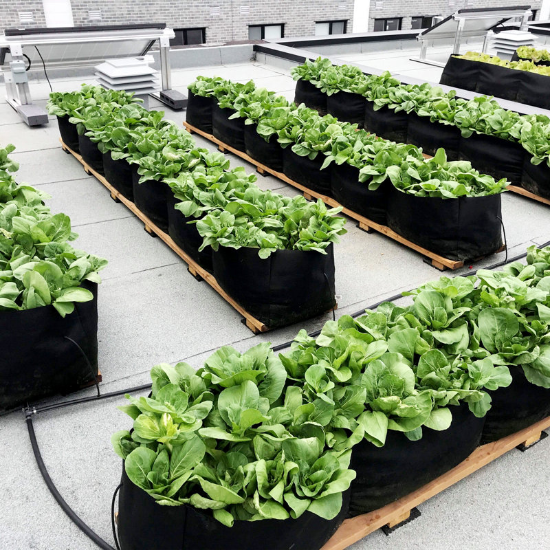 Jardinière surélevée Smart Pot®
