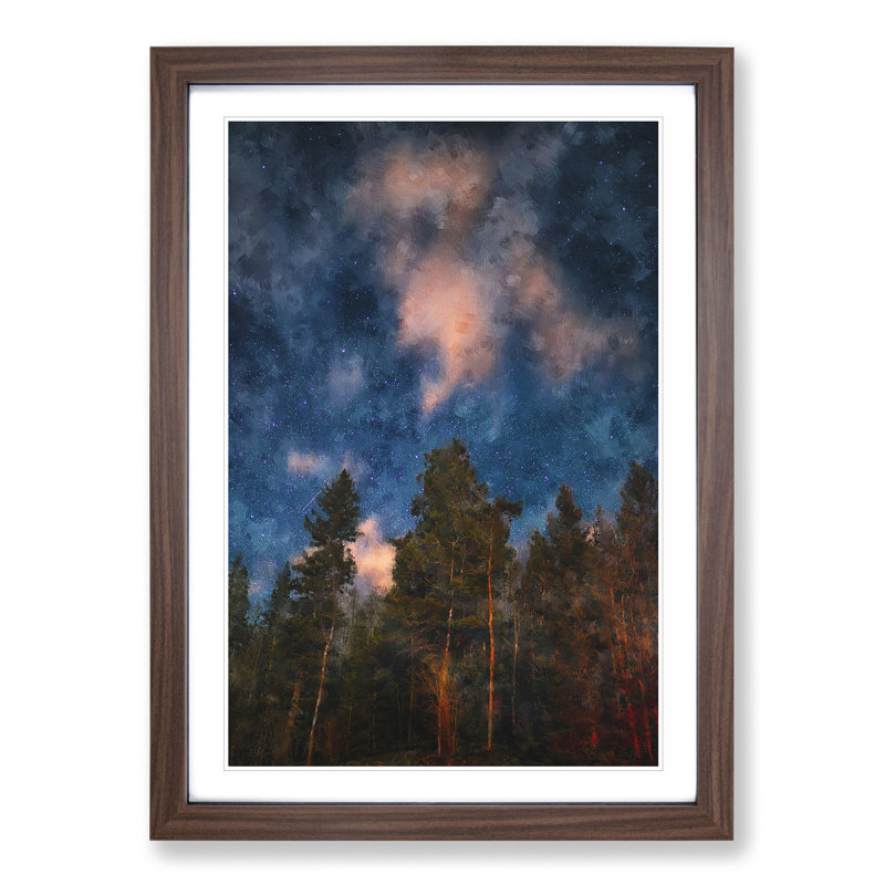 Starry Night Forest - Picture Frame Graphic Art, Walnut, 48cm H x 36cm W x 2cm D