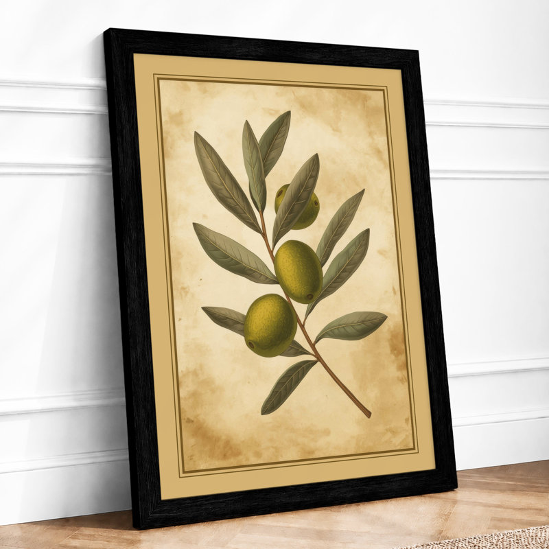 Olive Branch Study Botanical - Framed Print, A2 - 59.4 x 42.0 cm, Black