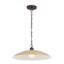 Luminaire suspendu 18,5 po Derby